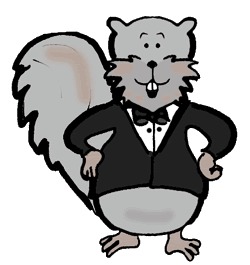 Grey Squirrel