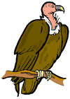 Vulture Clipart