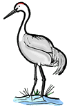 Crane Bird Clipart