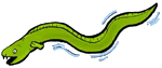 Eel Clipart