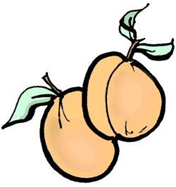 Peaches