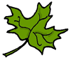 Green Leaf Clipart