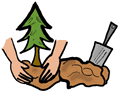 Planting Tree Clipart