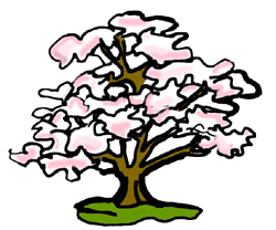 Pink Flowering Dogwood Tree Clip Art