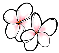 Frangipani Flowers Clipart