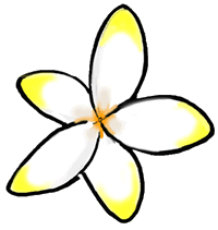 Frangipani Flower Clipart