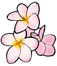 Frangipani Flowers Clipart