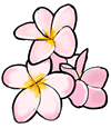 Frangipani  Flowers Clipart