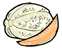 Cantaloupe Clipart