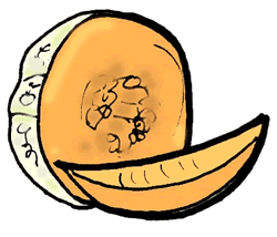 Cantaloupe Clipart