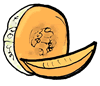 Cantaloupe Clipart