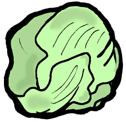 Head of Lettuce Clip Art