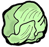 Lettuce Head Clipart