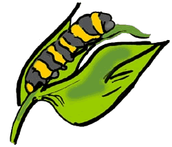 Caterpillar on Leaf Clip Art
