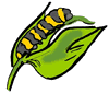 Caterpillar Clipart