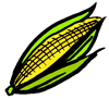 Corn on the Cob Clipart