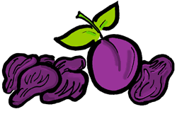 Prunes with Plum Clip Art