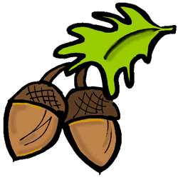 Acorns Clipart