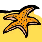 Star Fish Clipart