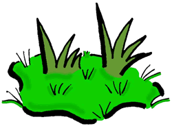Clipart Grass