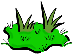 Grass Clip Art