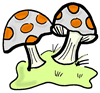 Mushrooms Clipart