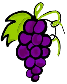 Grapes Clipart