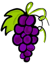 Grapes Clip Art