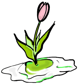 Spring Tulip Flower Clipart