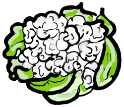 Cauliflower Clipart