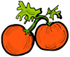 Tomatoes Clip Art