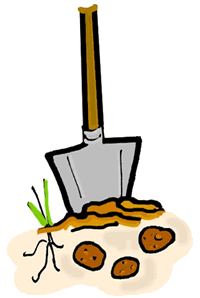 Gardening Potatoes Clipart