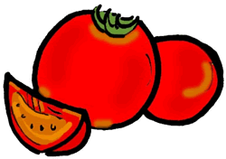 Tomatoes Clipart