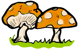 Mushrooms Clipart