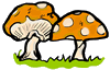 Mushroom Clip Art