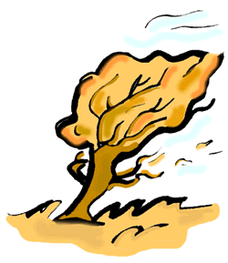 Autumn Tree Blowing in Wind Clipart