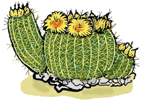 Flowering Barrel Cactus Clipart