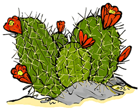 Hedgehog Cactus Clipart
