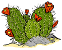 Flowering Hedgehog Cactus Clip Art