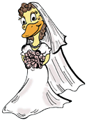 Duck Bride Clipart