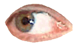 Human Eye
