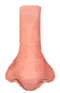Nose