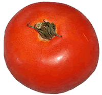Ripe Tomato
