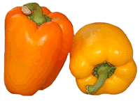 Orange and Yellow Peppers