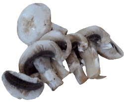 Sliced Mushrooms