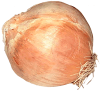 Onion
