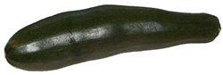 Zucchini