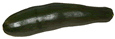 Zucchini