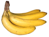 Bunch of Bananas