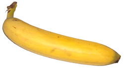 Banana